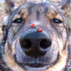 Meet your Posher, Lori